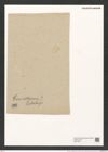 Goniothecium ? szakalense Pant. (de-Toni-Nr.: Genus 157, Species 4222) Zeichnungen Sammlung Grunow (NHMW-BOT-W0377024)